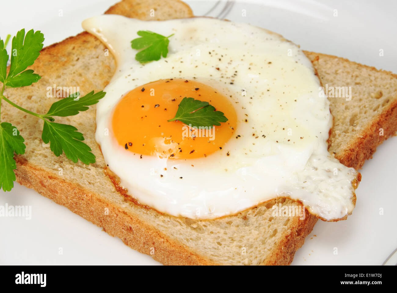 Toast avec œuf frit et le persil sur une assiette blanche Banque D'Images