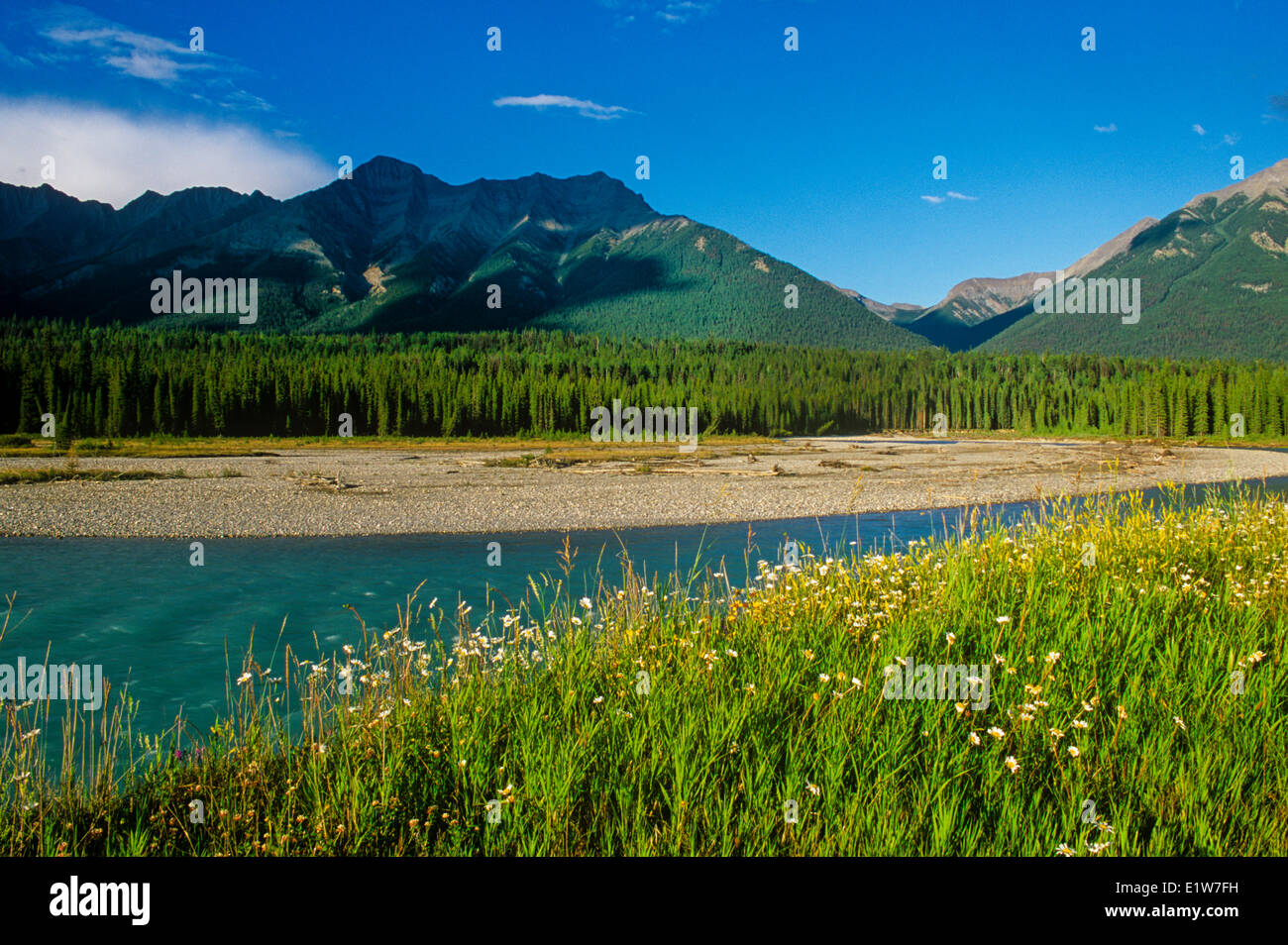 La rivière Kootenay, parc national de Kootenay en Colombie-Britannique, Canada Banque D'Images