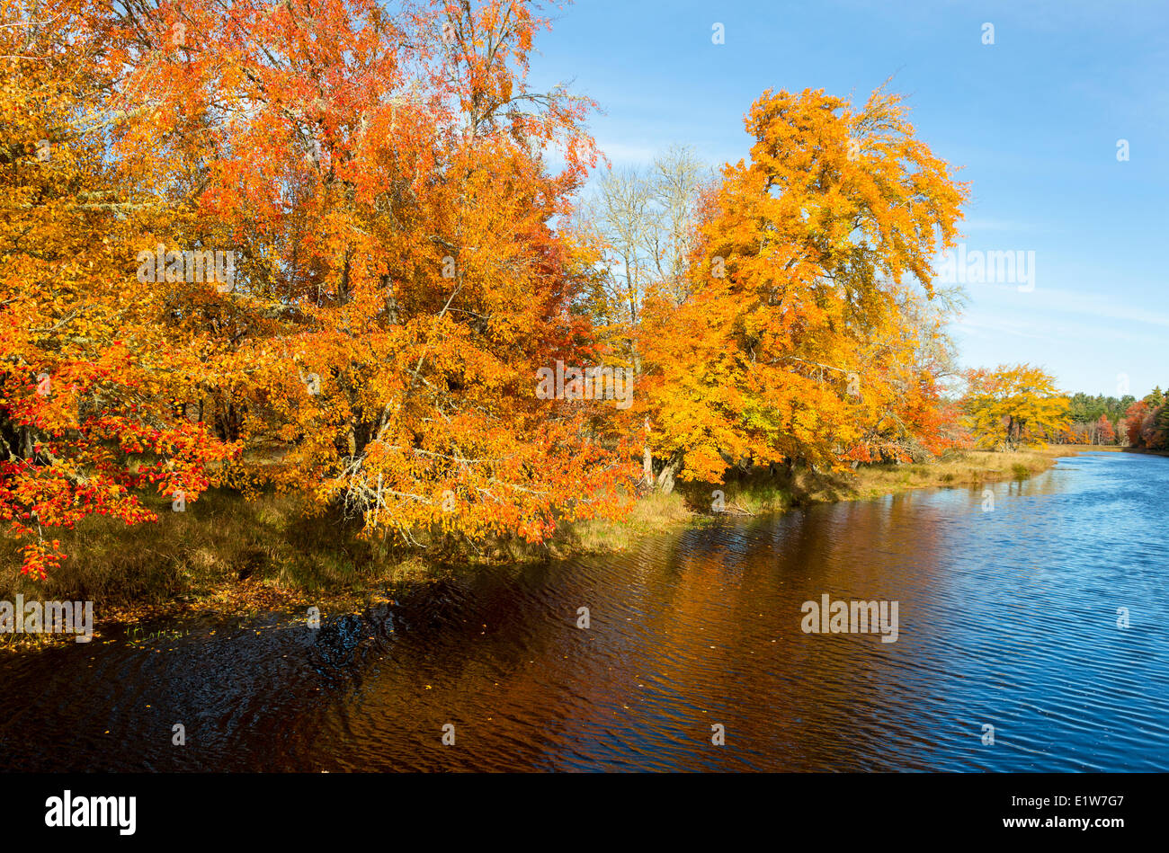 La rivière Mersey, le parc national Kejimkujik, Nouvelle-Écosse, Canada Banque D'Images