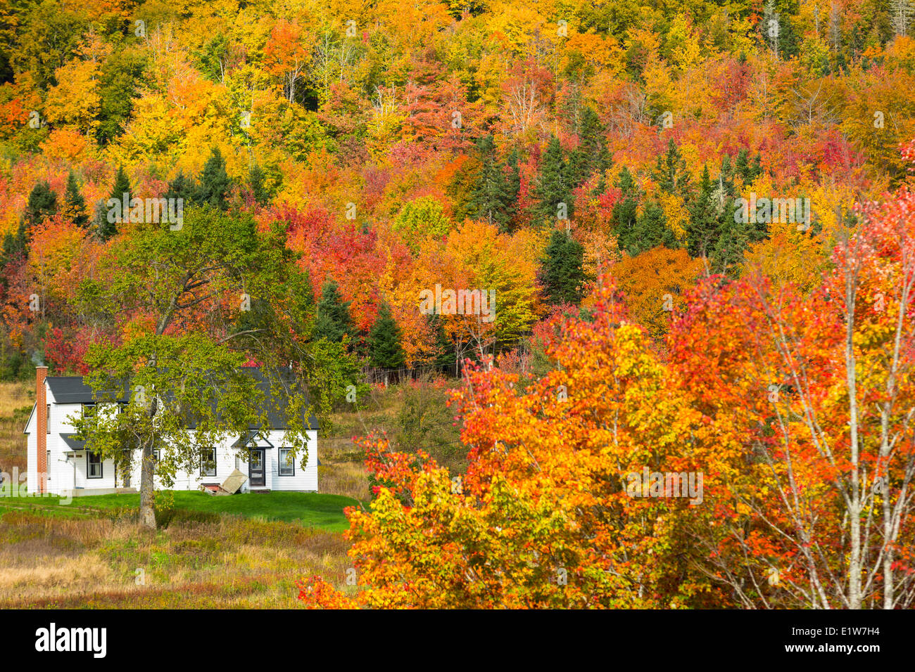 Glendale, Cap-Breton, Nouvelle-Écosse, Canada Banque D'Images