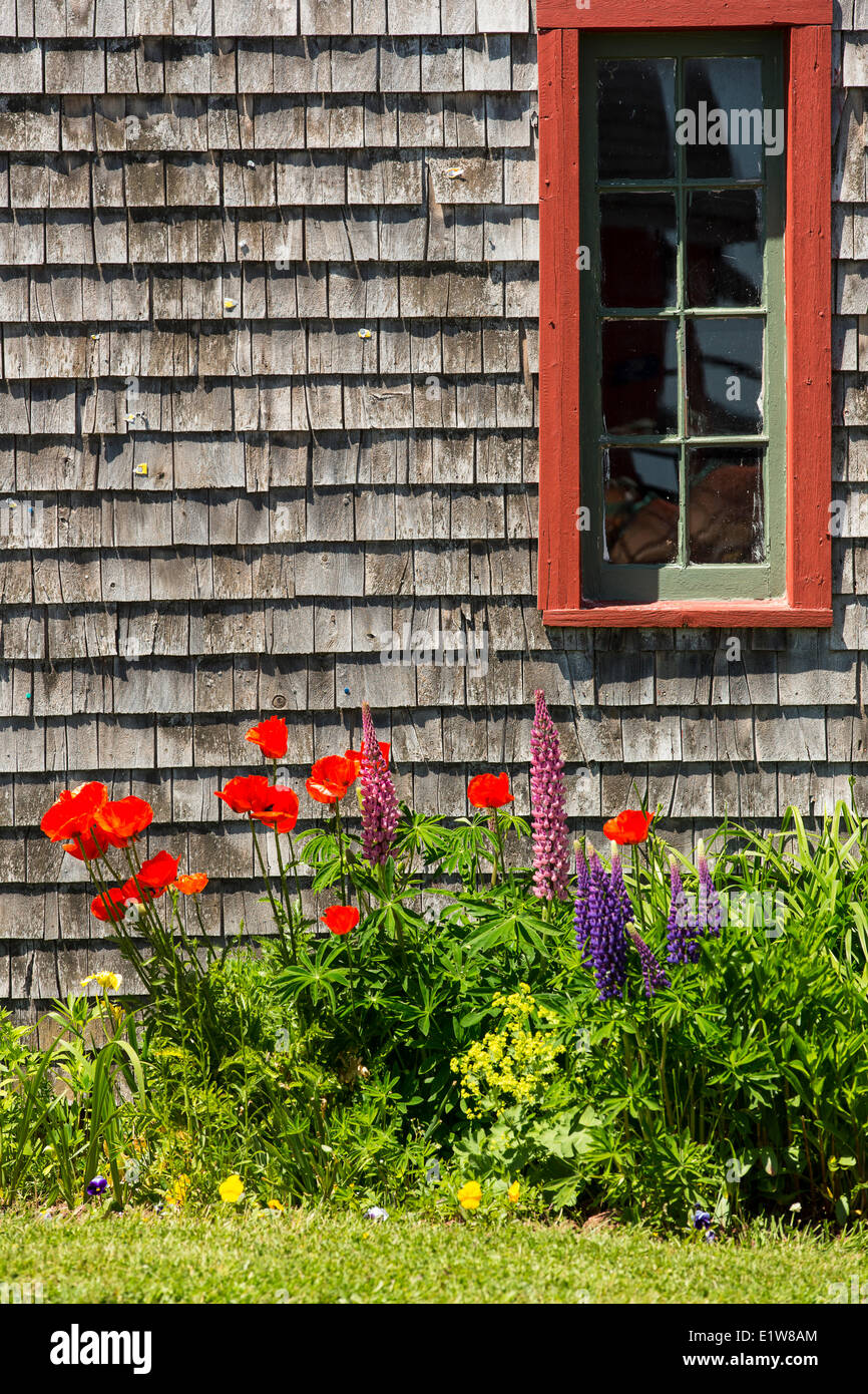 Parterre et windows, Victoria, Prince Edward Island, Canada Banque D'Images