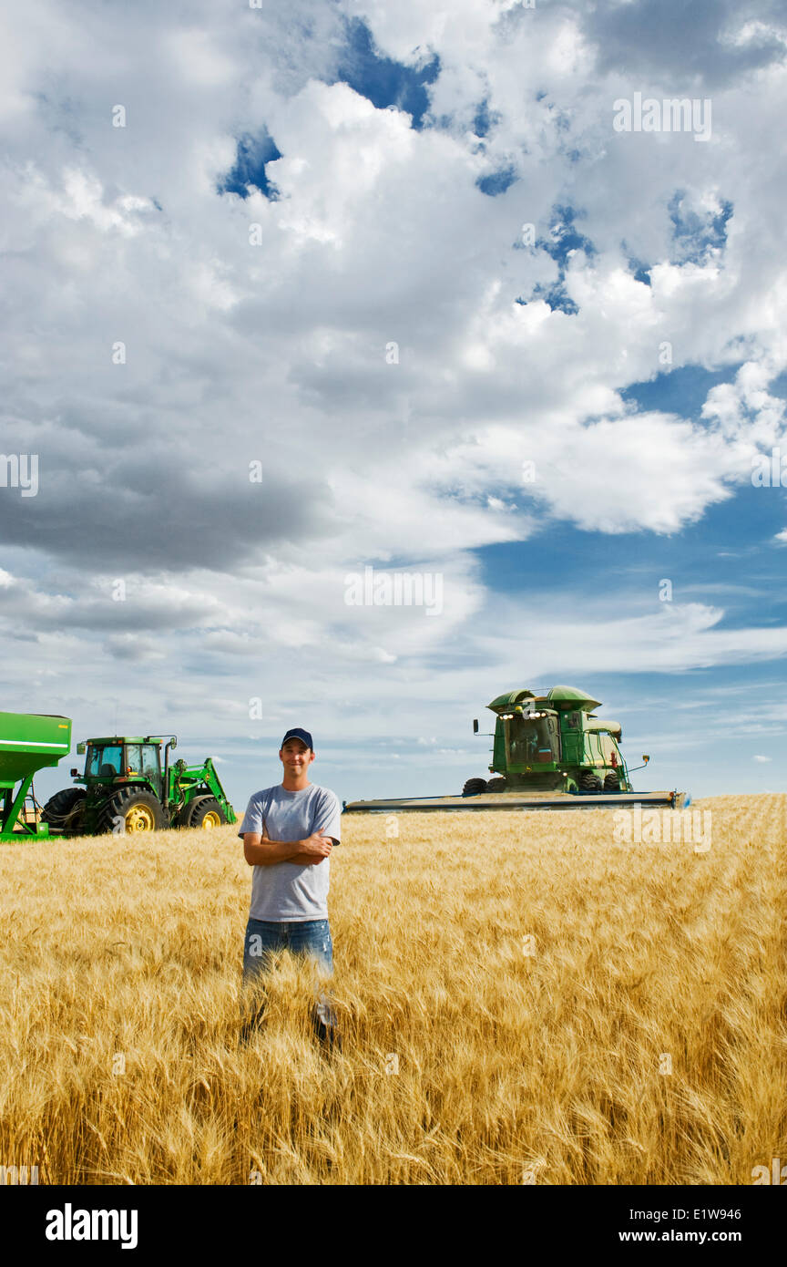 Jeune agriculteur dans son champ de blé dur à maturité au cours de la Moisson de céréales moissonneuse-batteuse de chariot dans le fond près de Ponteix Saskachewan Banque D'Images