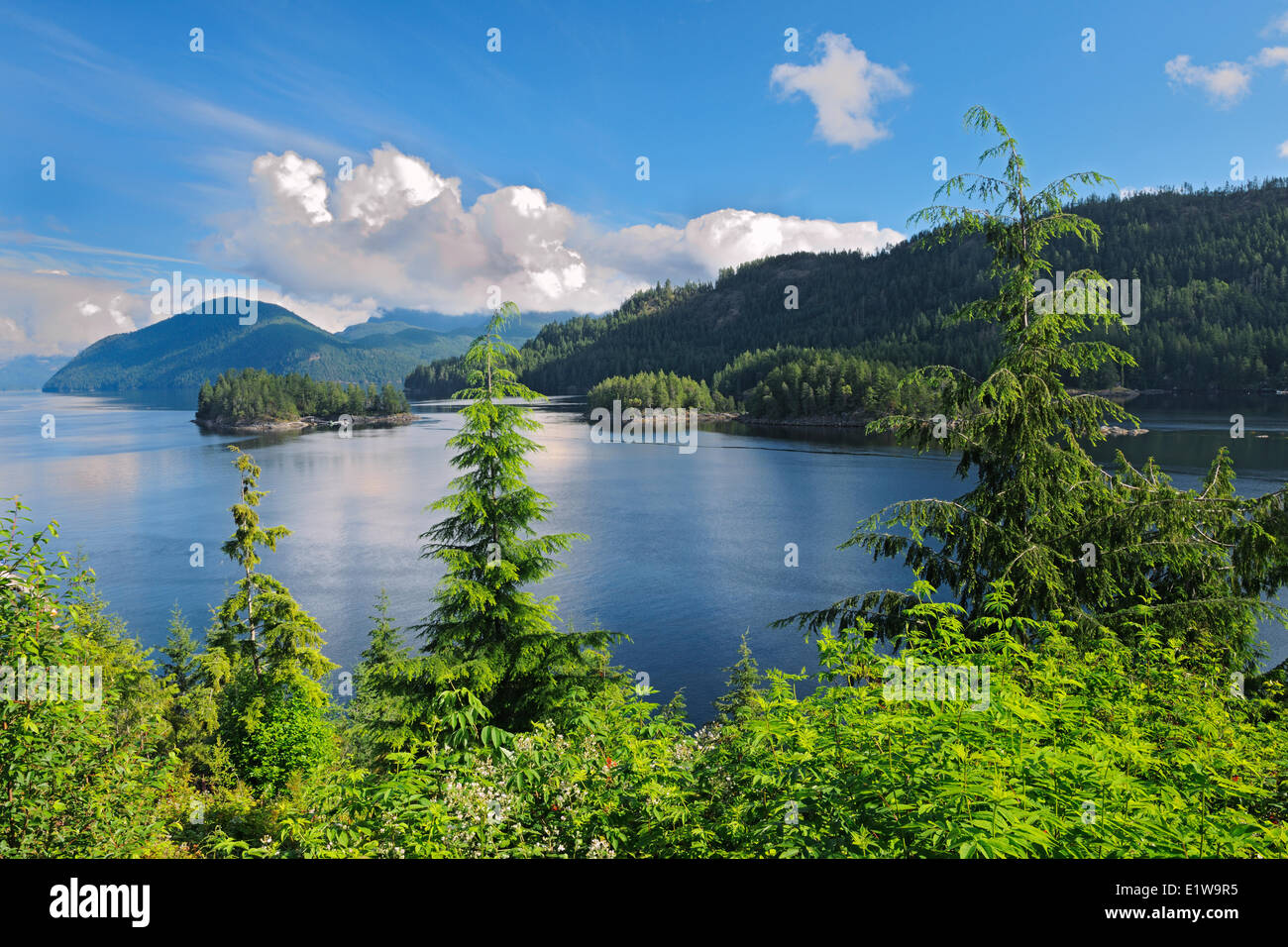Sechelt Inlet sur la Sunshine Coast, Egmont, British Columbia, Canada Banque D'Images