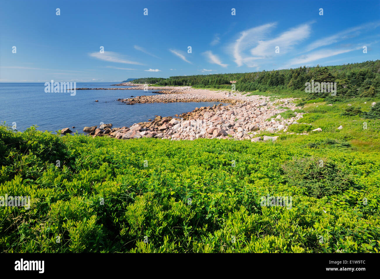 Côte Rocheuse sur Piste Cabot à Green Cove, Cape Breton Highlands National Park, Nova Scotia, Canada Banque D'Images