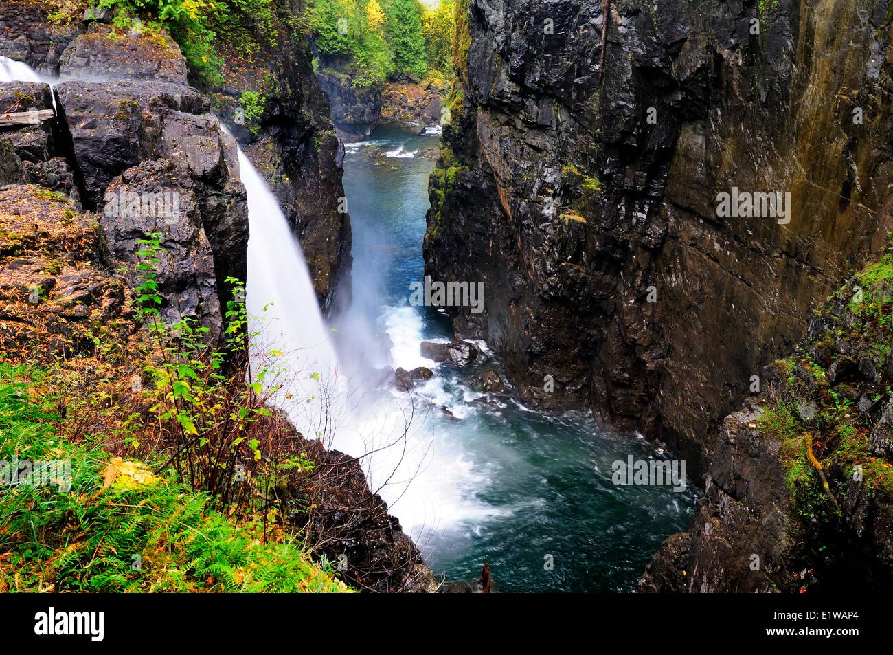 Dans la région de Elk Falls Parc provincial d'Elk Falls près de Campbell River, C.-B., Canada Banque D'Images