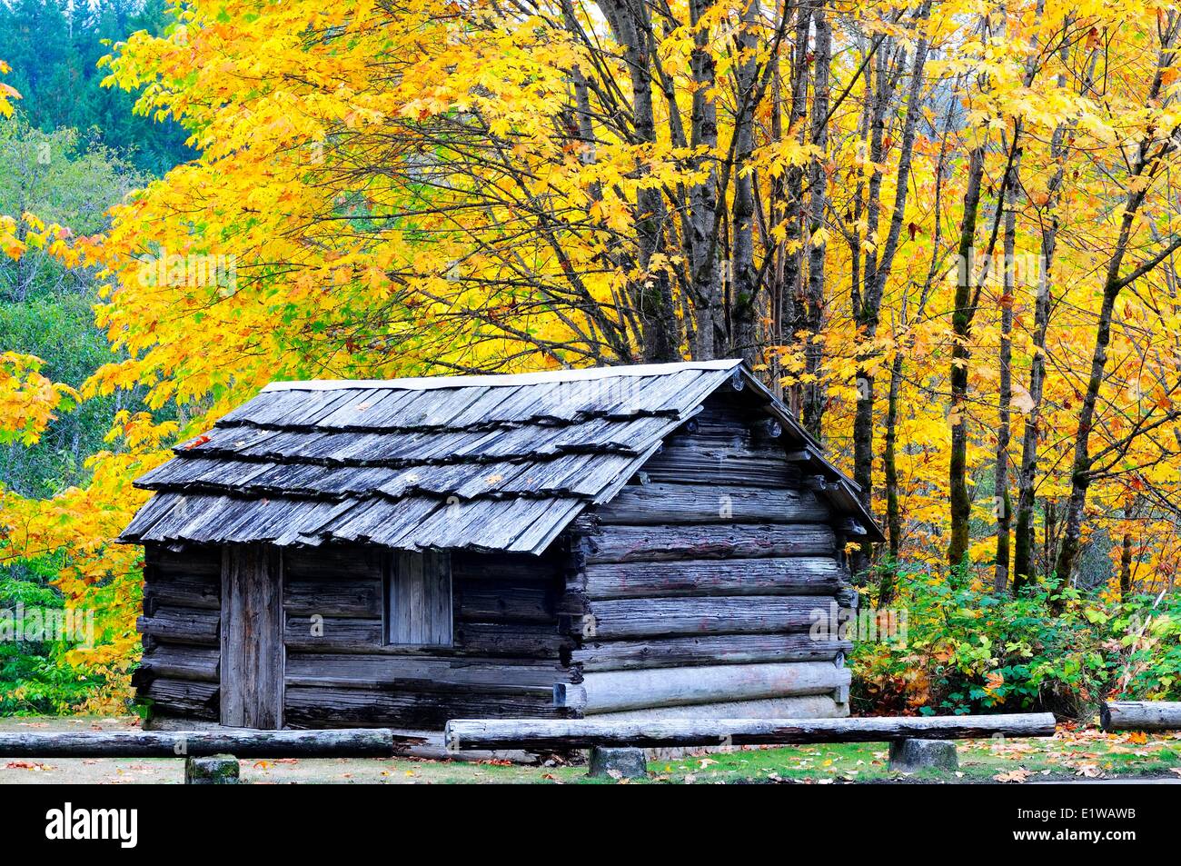 Vieille cabane à la persévérance Creek Heritage Site consacré au Chinois Japonais familles qui vivaient ici travaillé près de Banque D'Images