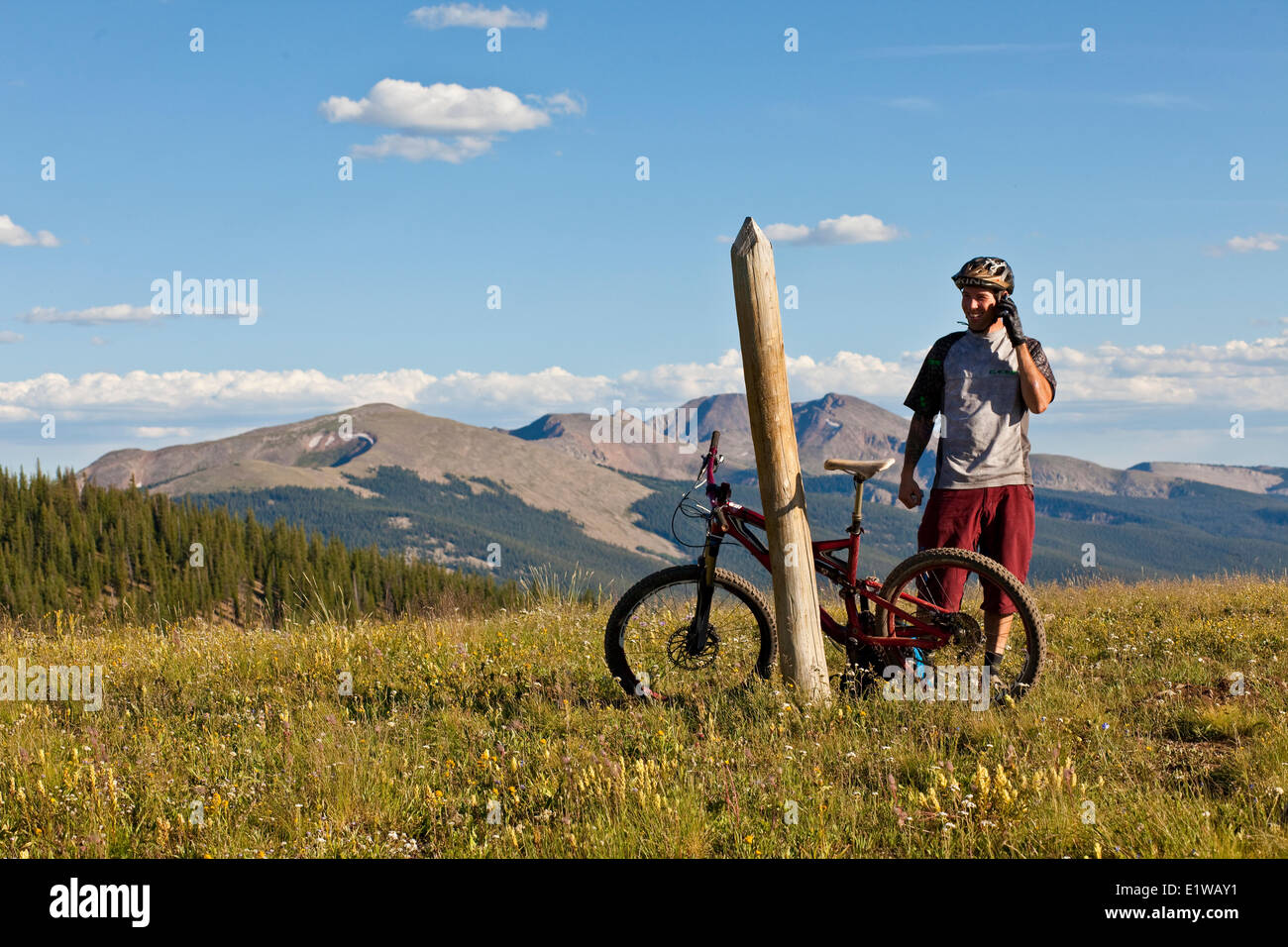 Vélo de montagne d'un homme répond à son téléphone cellulaire. Docters Park Trail, Crested Butte, CO Banque D'Images