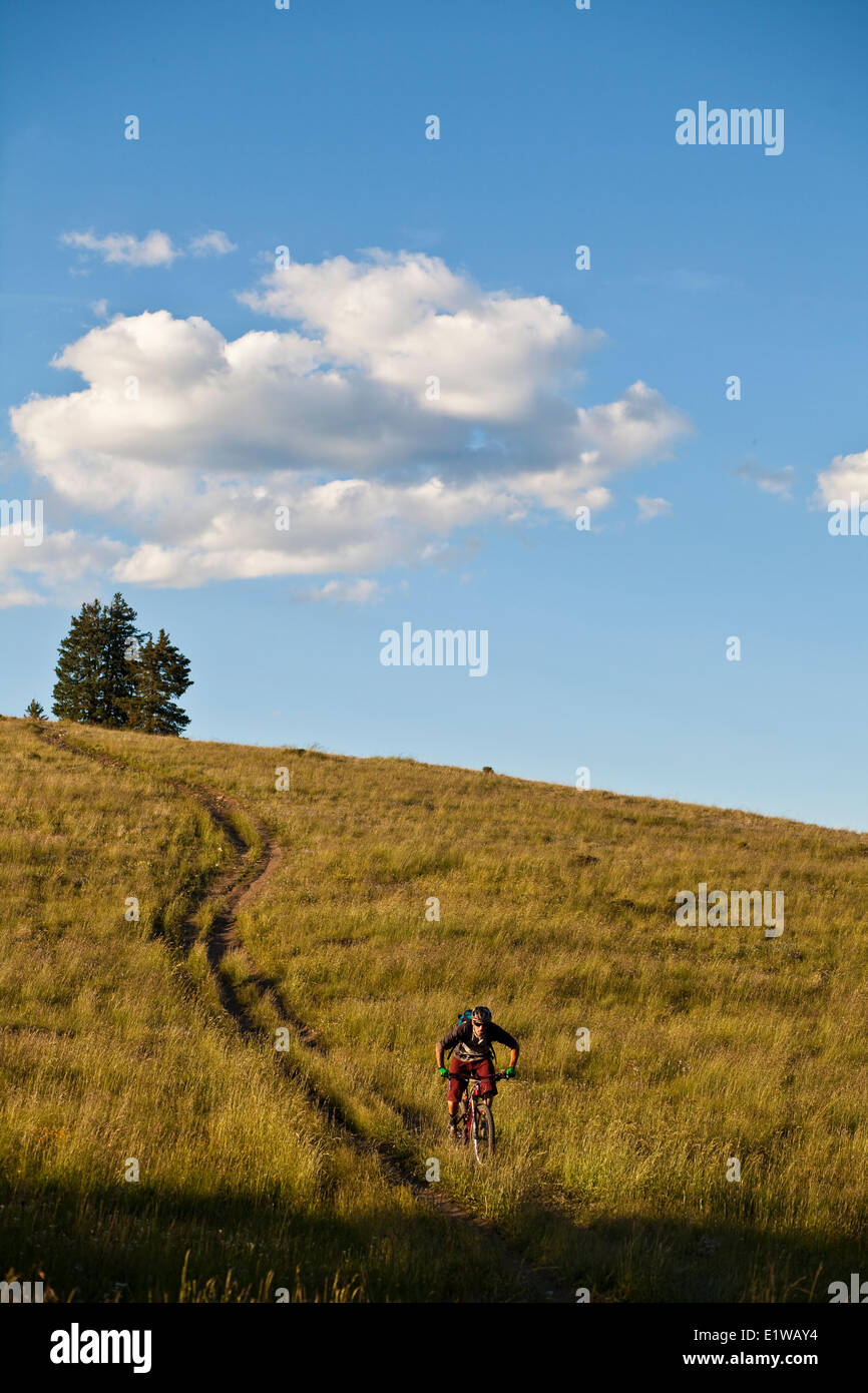 Un vélo de montagne mâle les manèges l'incroyable singletrack de Docters Park Trail, Crested Butte, CO Banque D'Images