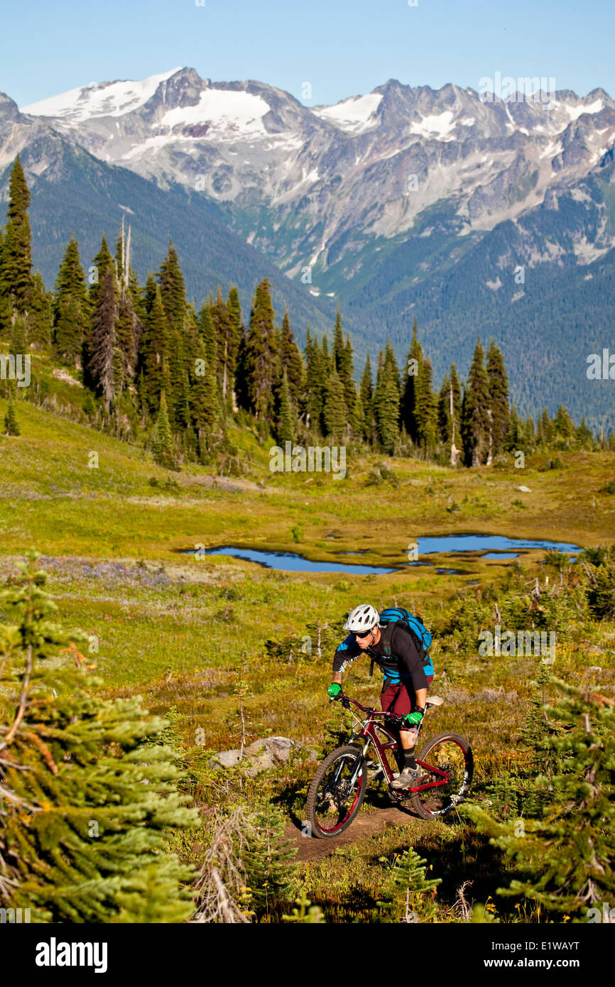 Un homme en vélo de montagne le flowy, high alpine Frisby Ridge trail. Revelstoke, BC Banque D'Images