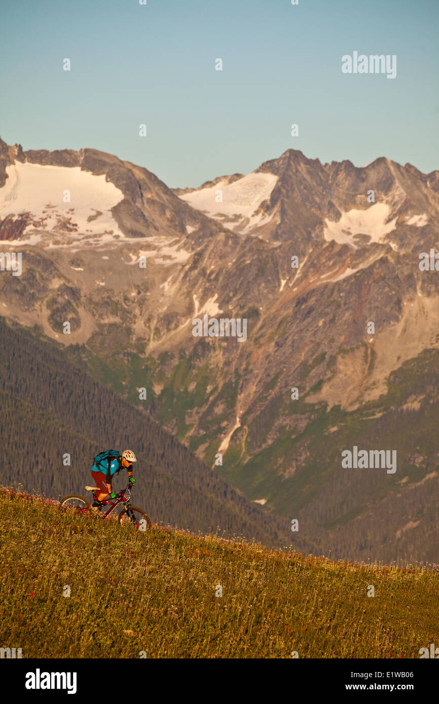 Un homme en vélo de montagne le flowy, high alpine Frisby Ridge trail. Revelstoke, BC Banque D'Images