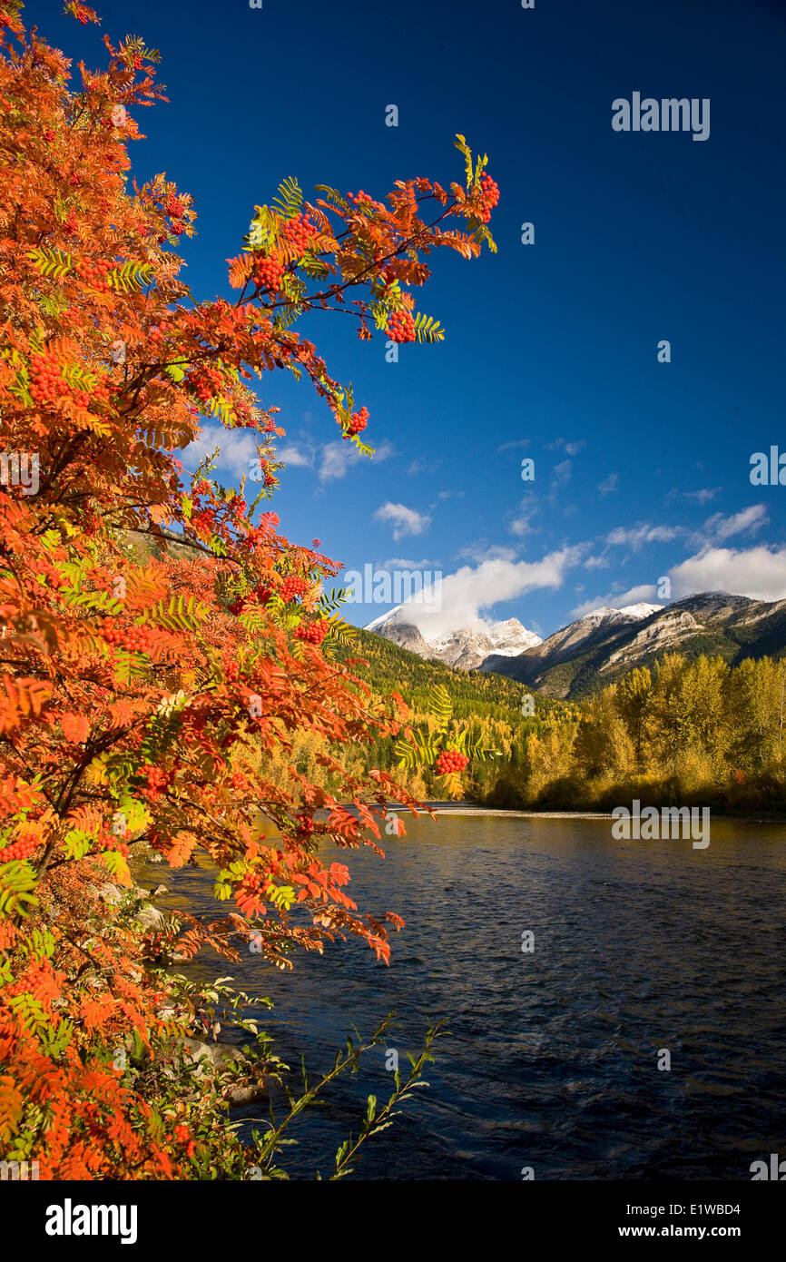 Rivière Elk et trois soeurs en automne, Fernie, BC, Canada. Banque D'Images