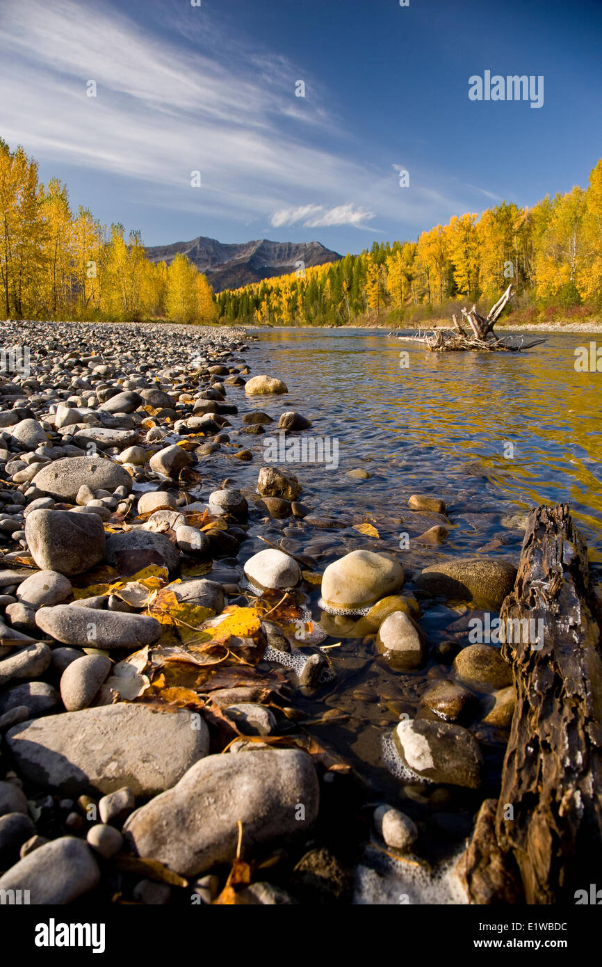 Rivière Elk et Lizard Range en automne, Fernie, BC, Canada. Banque D'Images