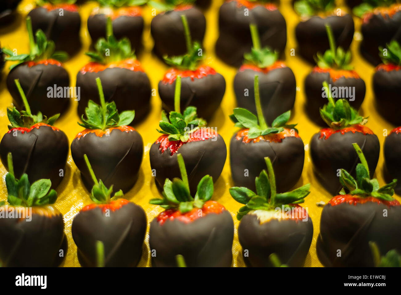 Un bac de bio frais des fraises au chocolat. Banque D'Images