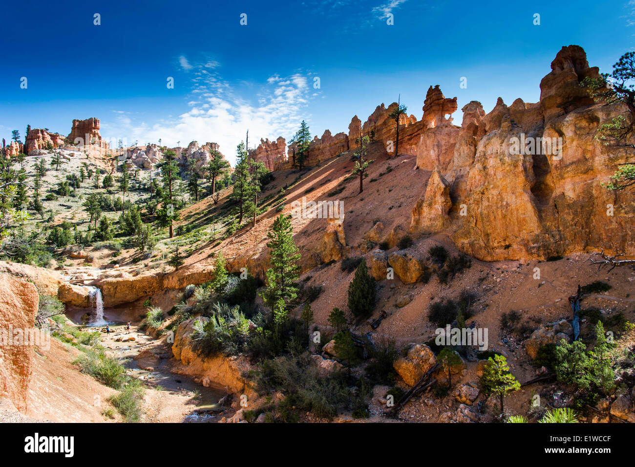 Le sentier grotte moussue à Bryce Canyon National Park, Utah, United States of America Banque D'Images