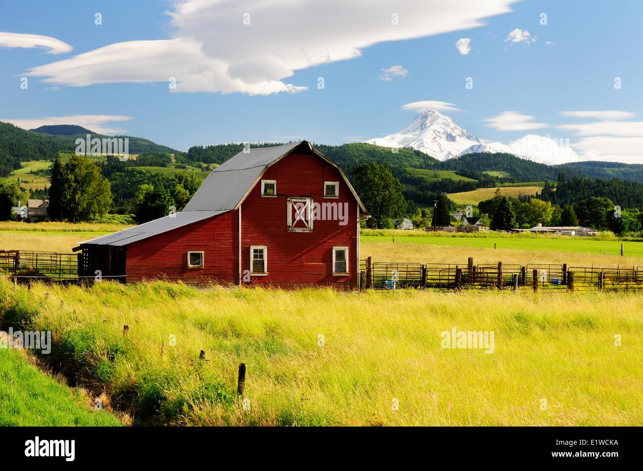 Une vieille grange près de Mt. Des bois près de la rivière Hood, Oregon. Banque D'Images