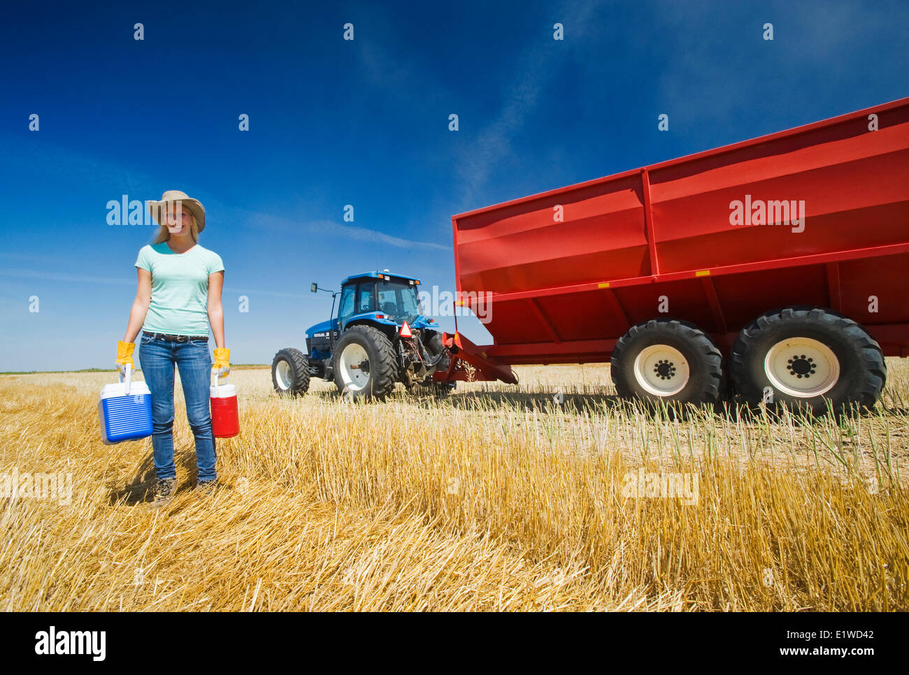 Une ferme Girl standing in chaume dans l'avoine avant d'un tracteur et chariot à grain pendant la récolte, près de Dugald (Manitoba), Canada Banque D'Images