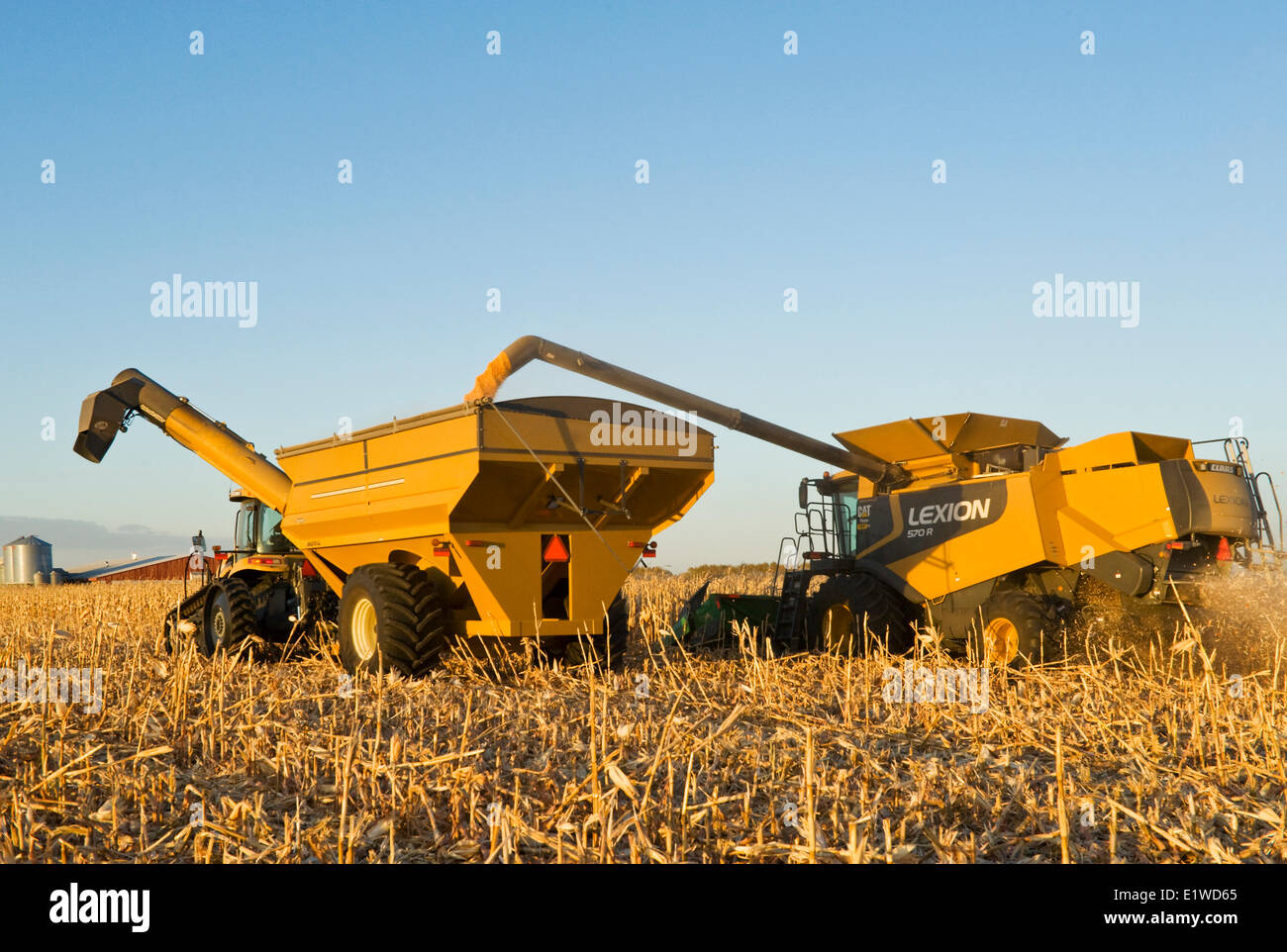Une moissonneuse-batteuse se jette dans un wagon de grain sur le rendez-vous, au cours de la récolte du maïs grain et des aliments pour animaux, près de Dugald (Manitoba), Canada Banque D'Images