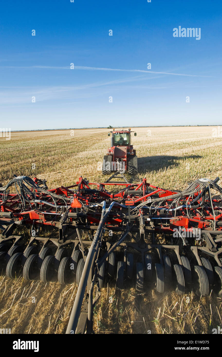 Déplacer le tracteur et l'air et jusqu'à la plantation semoir blé d'hiver dans un champ de chaume de canola jusqu'à zéro, Lorette, Manitoba, Canada Banque D'Images
