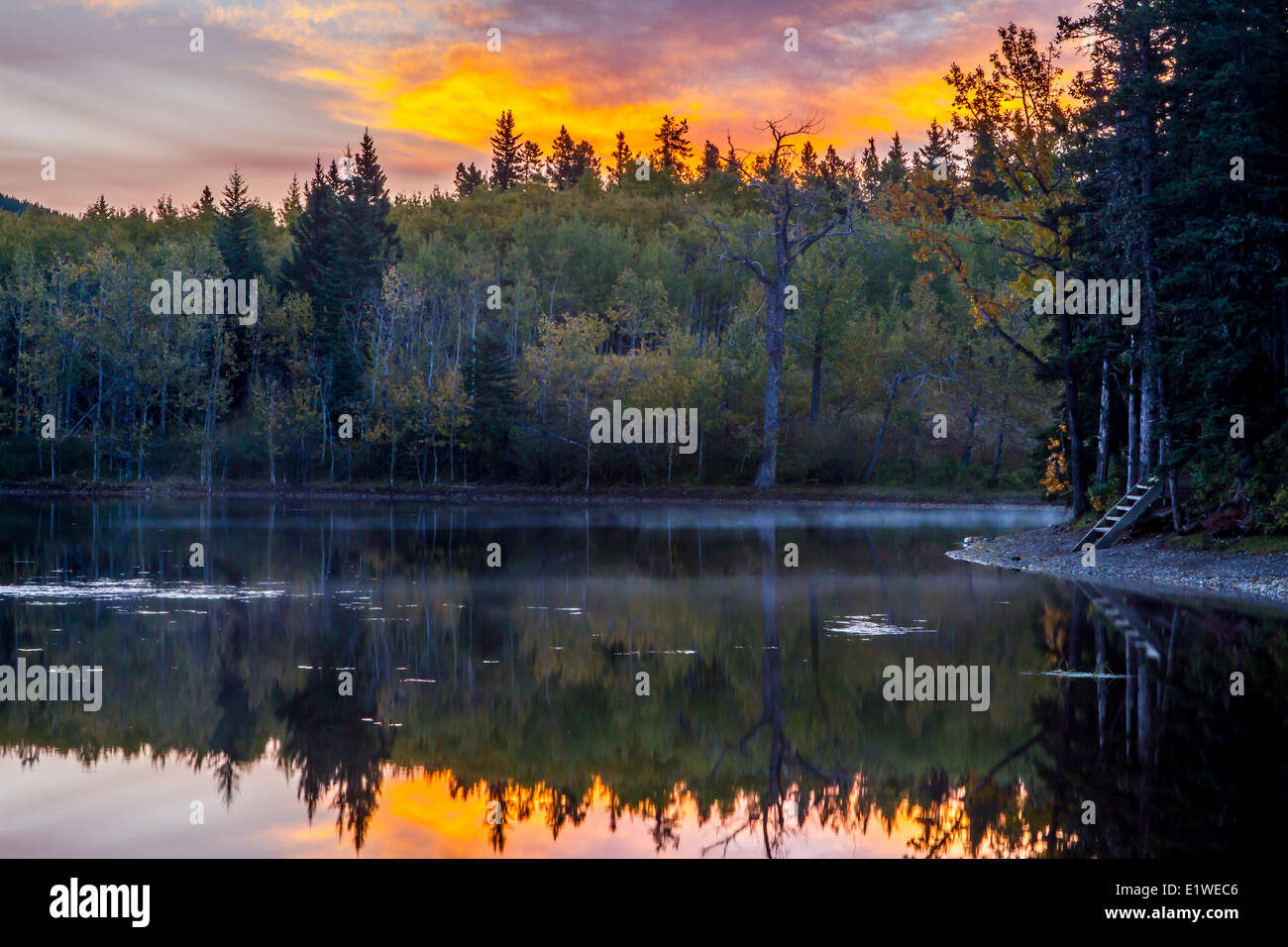 Sibbald Lake comme vu à l'automne au lever du soleil. Belle réflexion du ciel et des arbres dans l'eau. Banque D'Images