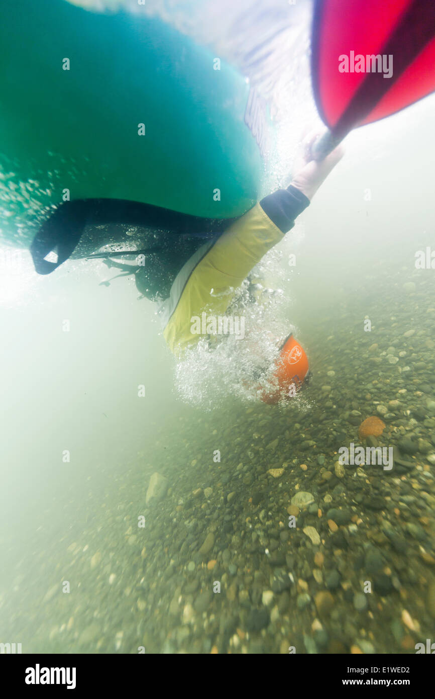 Dave Prothero effectue un Esquimau rouleau dans la rivière Puntledge dans son kayak comme vu sous l'eau. La vallée de Comox Courtenay Banque D'Images
