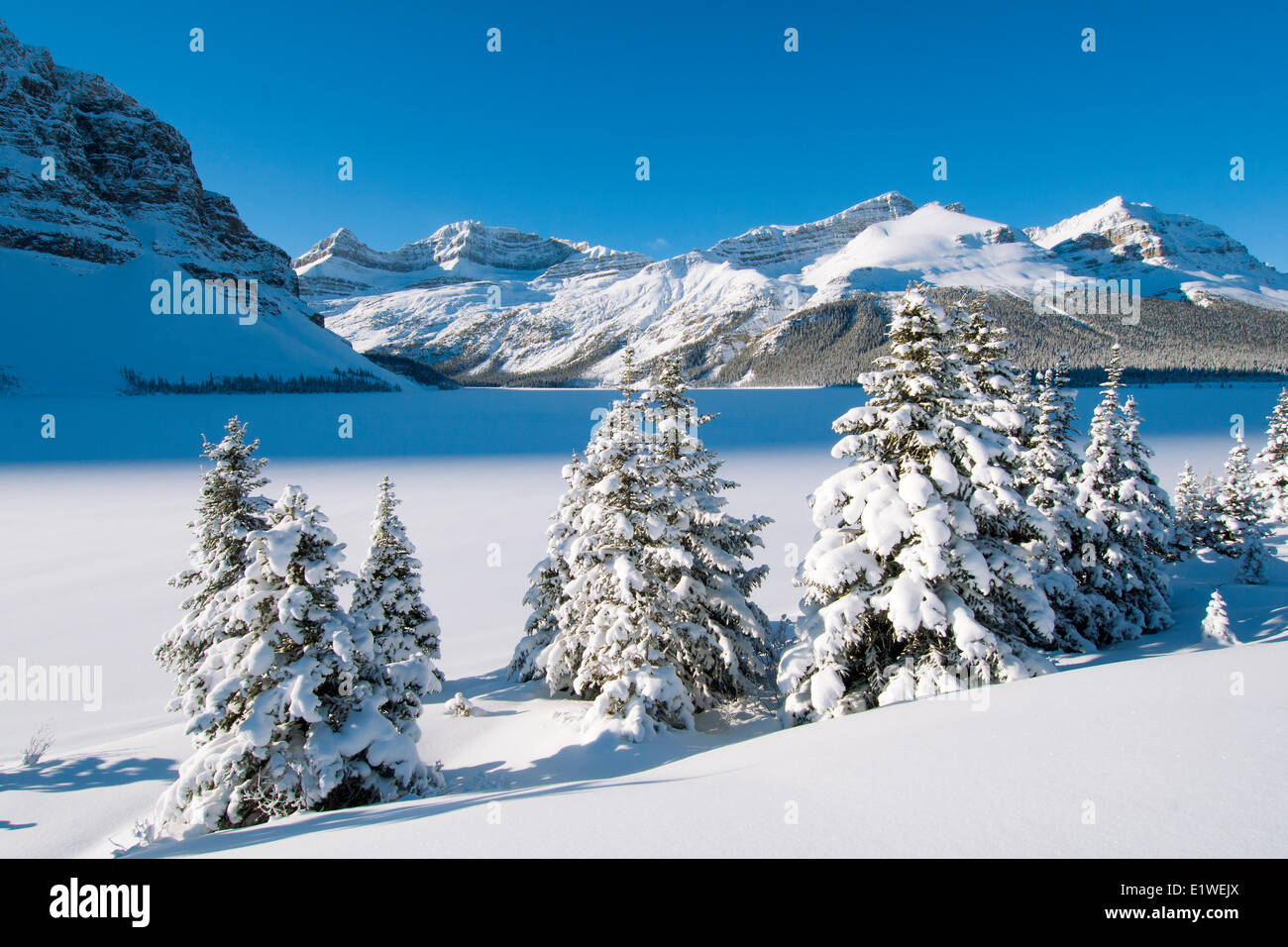 Le lac Bow, glaciers, le parc national Banff, l'ouest de l'Alberta, Canada Banque D'Images