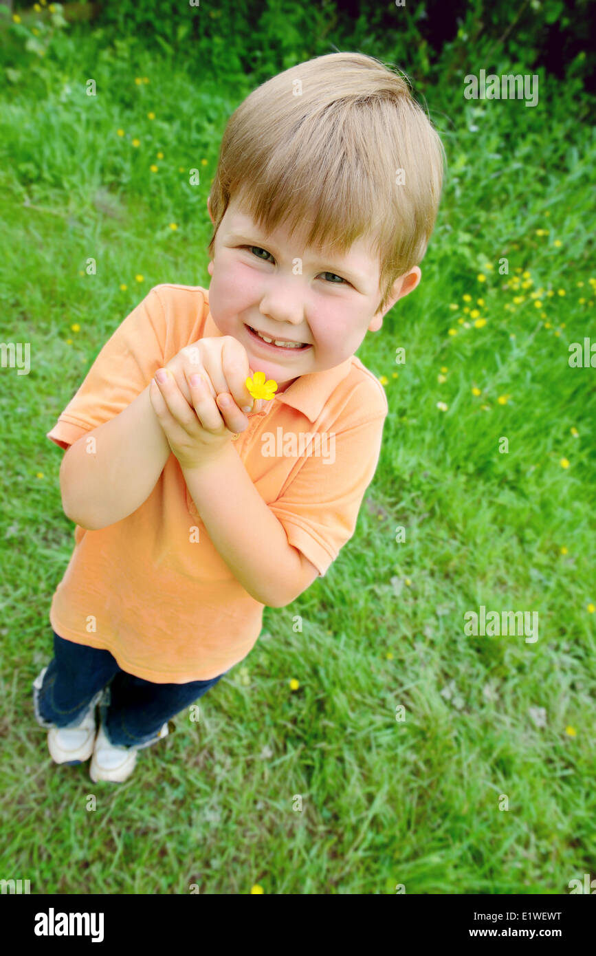 Smiling little boy offrant une fleur jaune dans un champ vert Banque D'Images