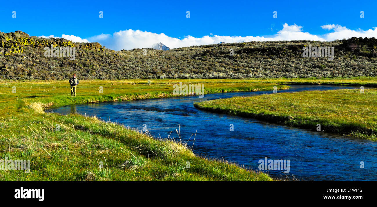 Pêche à la mouche Owens River en Californie Banque D'Images