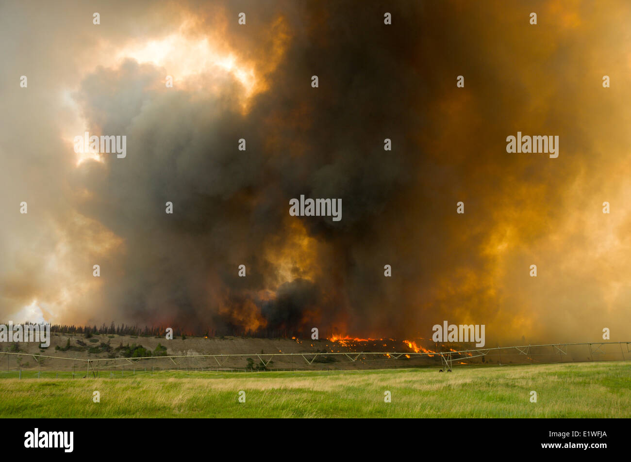 Un incendie brûle dans les prairies près de Williams Lake, Colombie-Britannique Banque D'Images