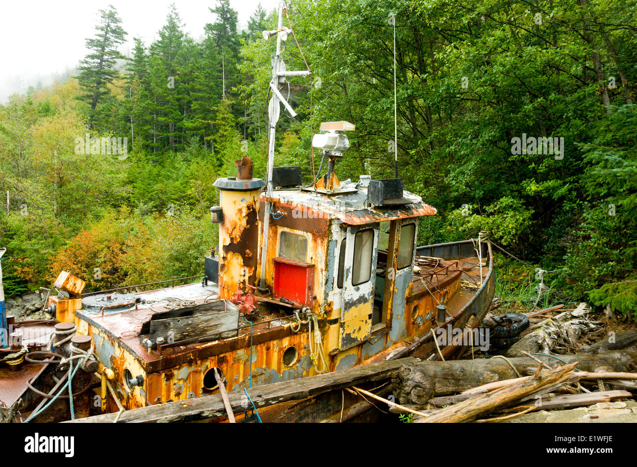 Un bateau de pêche à la retraite depuis longtemps moss recueille sur les rivages de l'Bentinck Arm, Bella Coola (Colombie-Britannique) Banque D'Images