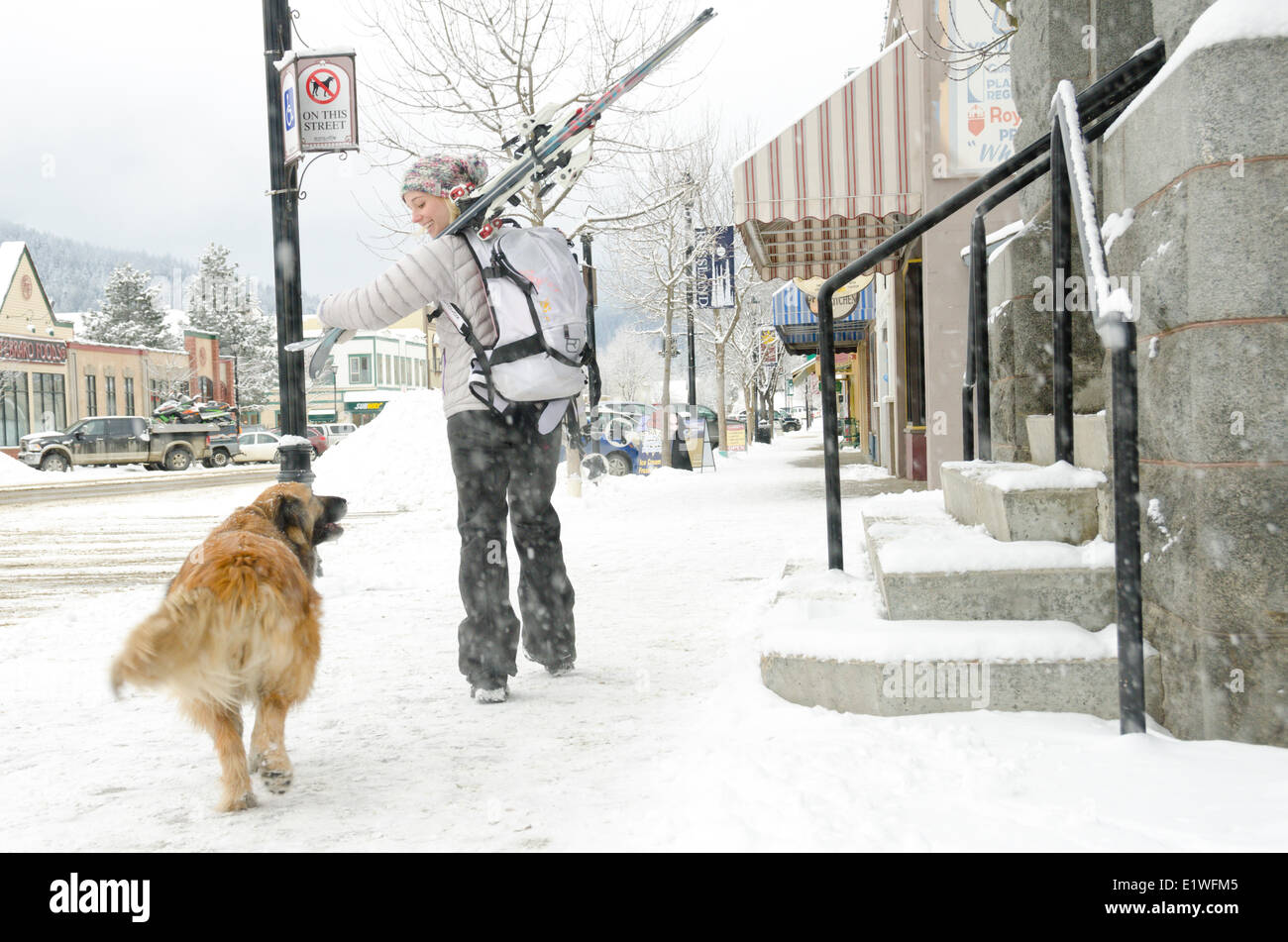 Une femme se promène le rues de Rossland, en Colombie-Britannique, avec un chien, malgré un pas de chiens-sign Banque D'Images