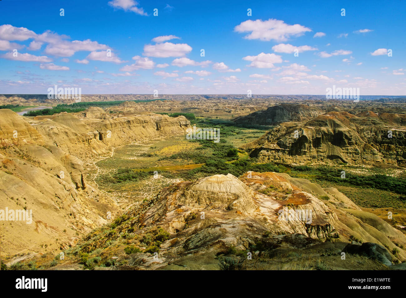 Le parc provincial Dinosaur, UNESCO World Heritage Site, Alberta, Canada Banque D'Images