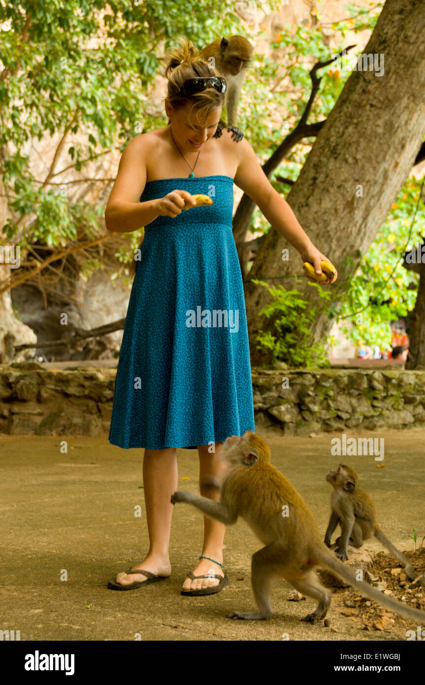 Monkey business de Railay Beach, Thaïlande Banque D'Images