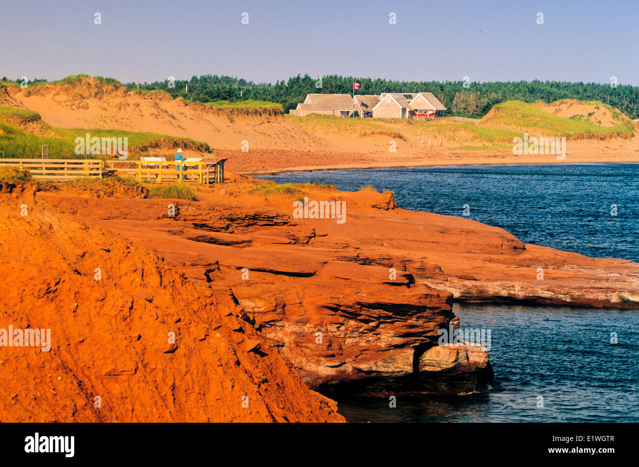 Les falaises de grès, Cavendish Beach, parc national de l'Île du Prince-Édouard, Canada Banque D'Images