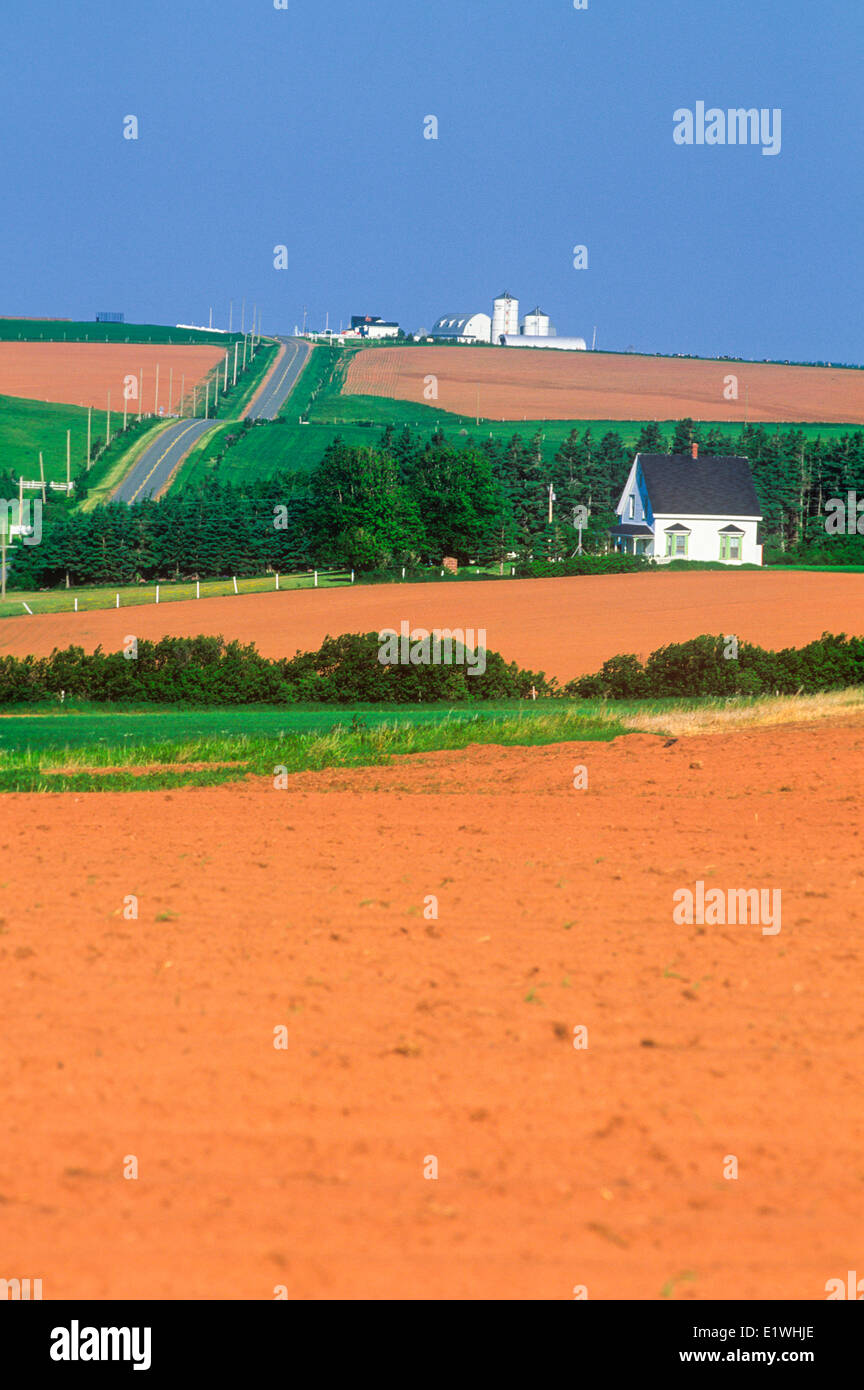 Ingleside L.M. Le grand-père de Montgomery's home, Park, Prince Edward Island, Canada Banque D'Images