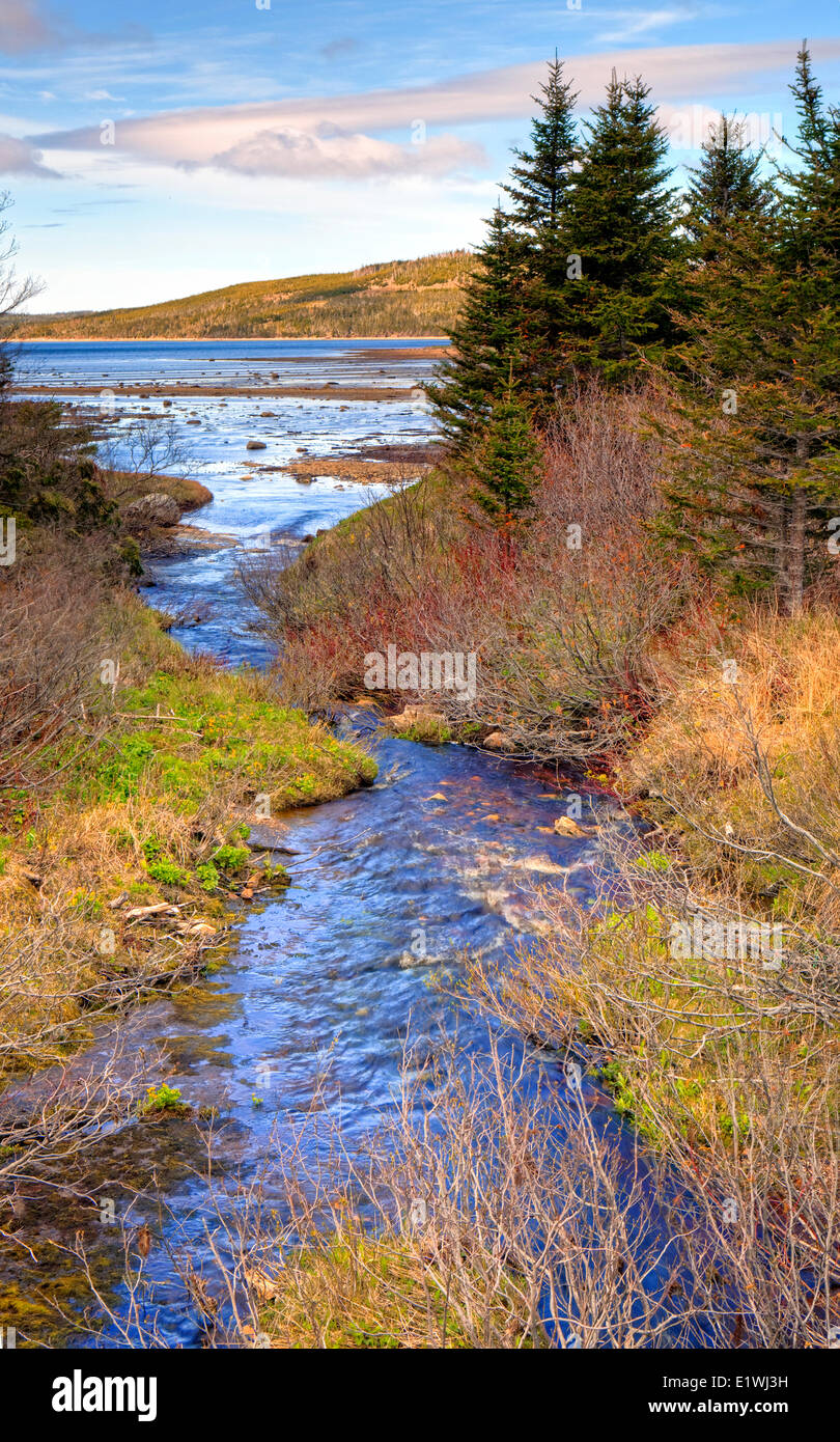 Le nord du parc national Gros Morne, UNESCO World Heritage Site, Terre-Neuve Banque D'Images