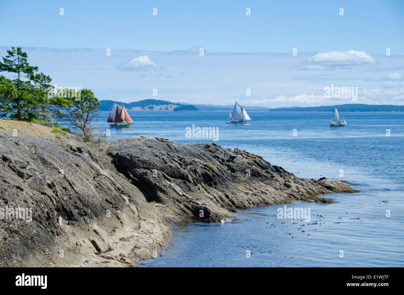 Isle-De-Lis Marine Park, situé sur l'île de Rum, au large de Sidney à l'extrémité est de l'île Gooch, British Columbia, Canada Banque D'Images