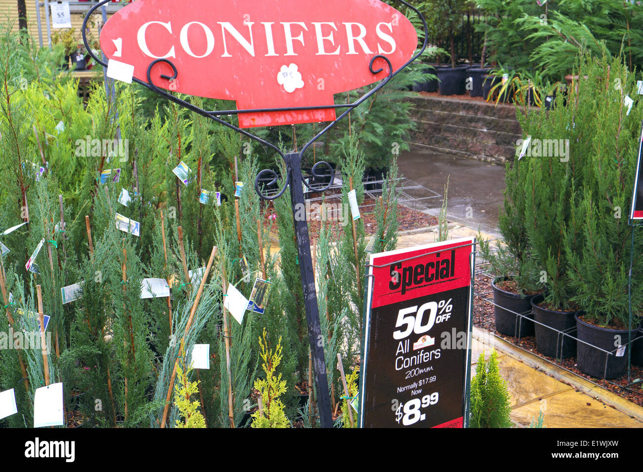 Australian Garden Center à Terrey Hills, Sydney, NSW, Australie Banque D'Images