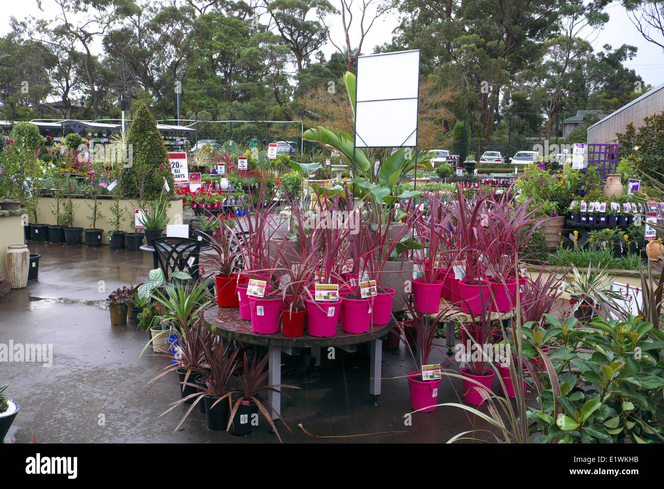 Australian Garden Center à Terrey Hills, Sydney, NSW, Australie Banque D'Images