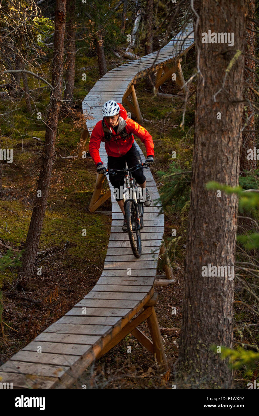 Un homme du vélo de montagne en parfaite temps automnal et singletrack à Whitehorse, Yukon Banque D'Images
