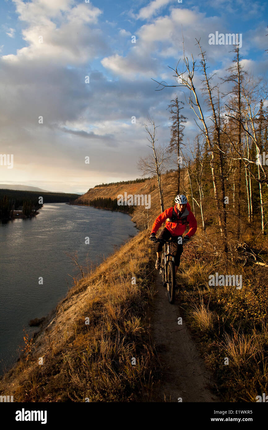 Un homme du vélo de montagne en parfaite temps automnal et singletrack à Whitehorse, Yukon Banque D'Images