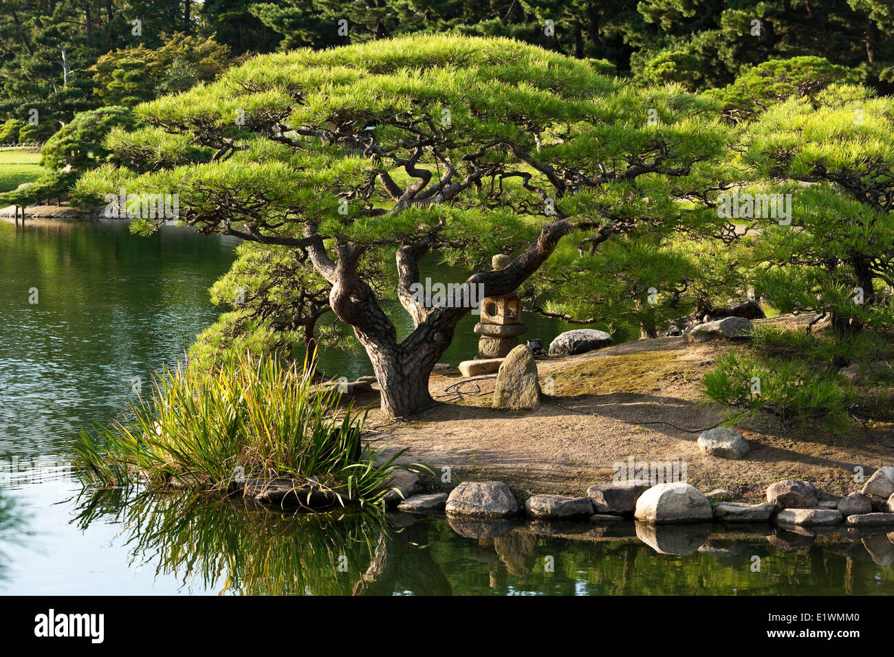 L'un des trois plus beaux jardins du Japon se trouve au sud de Korakuen Okayama Castle a été commandé par daimyo Ikeda Banque D'Images
