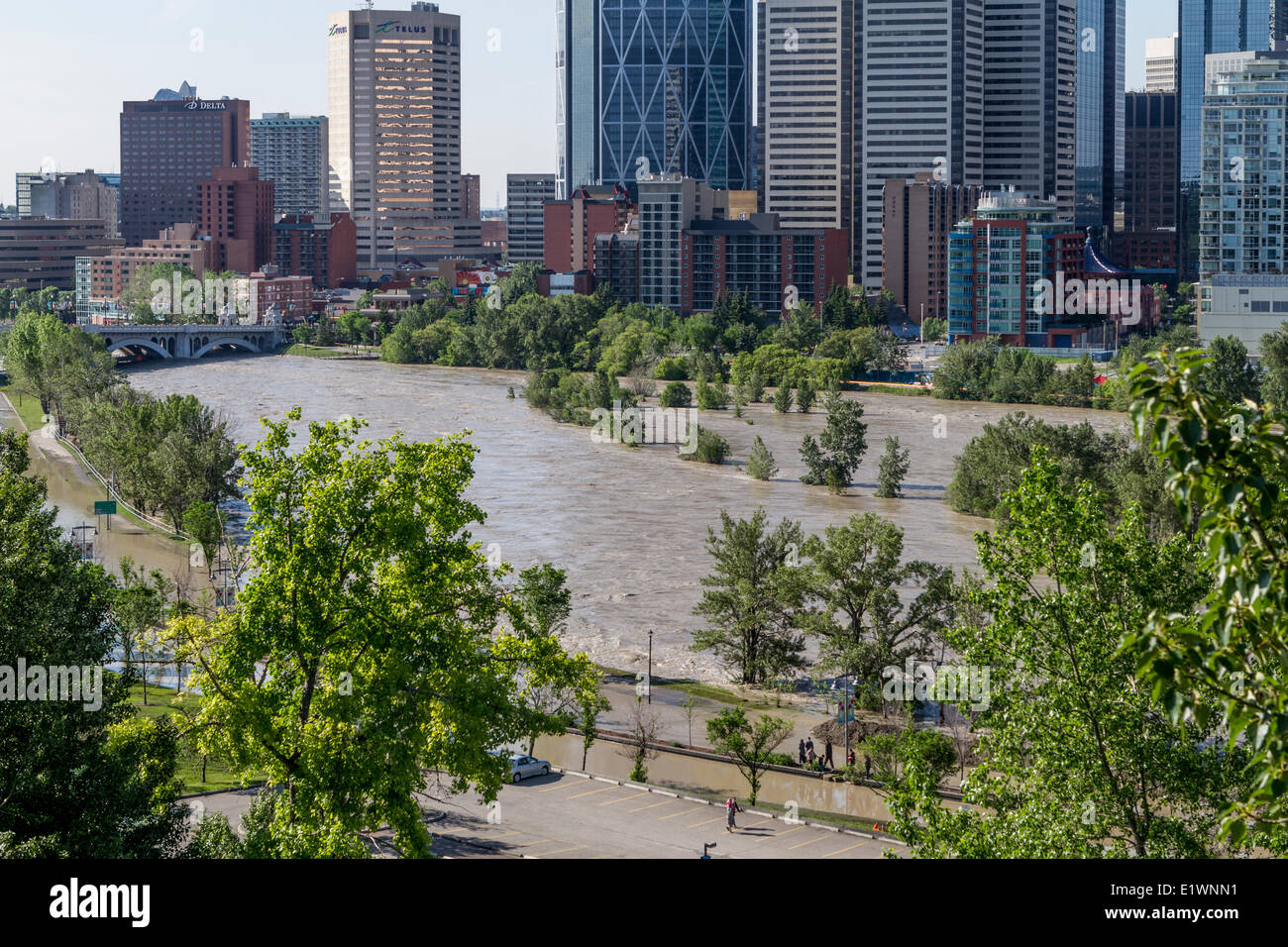 Calgary Juin 2013 inondation. Memorial Drive l'Est parc Prince's Island montrer les effets de débordement de la rivière Bow. Calgary Banque D'Images