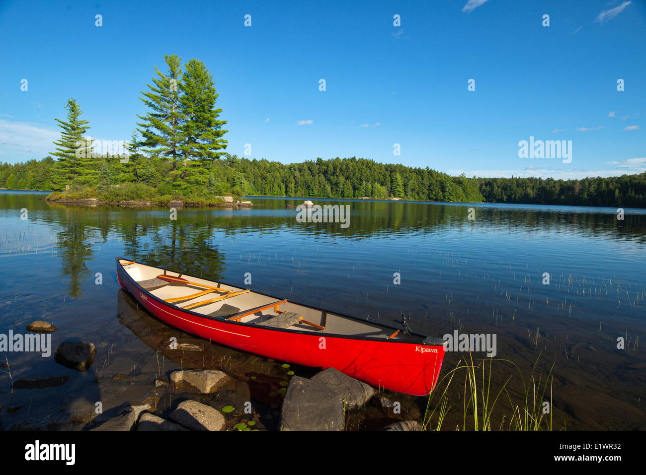 Red Canoe sur peu d'Island Lake, Algonquin Park, Ontario Banque D'Images