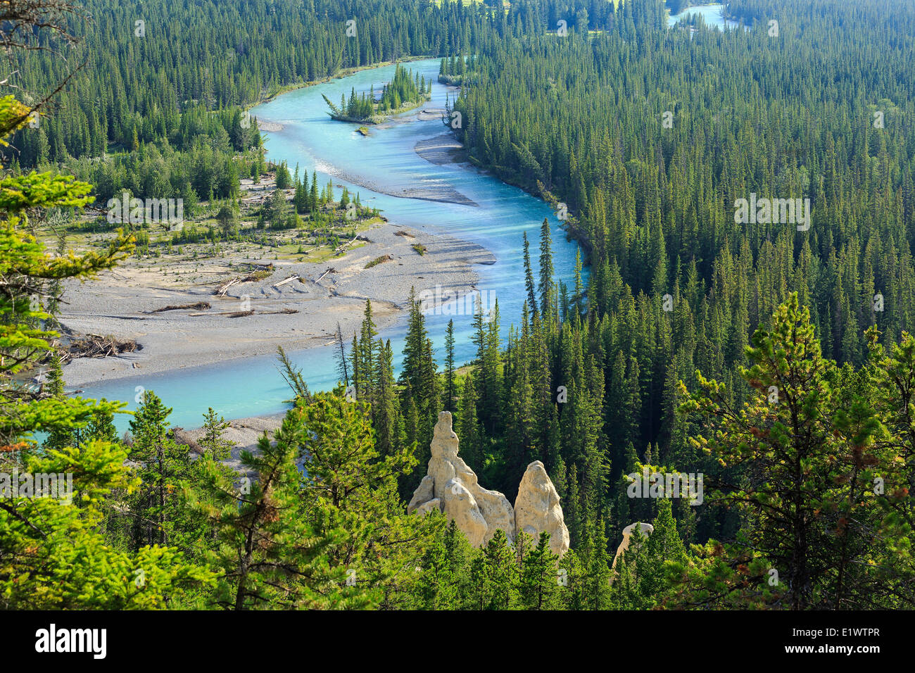 Cheminées dans la vallée de la rivière Bow, Banff National Park, Alberta, Canada Banque D'Images