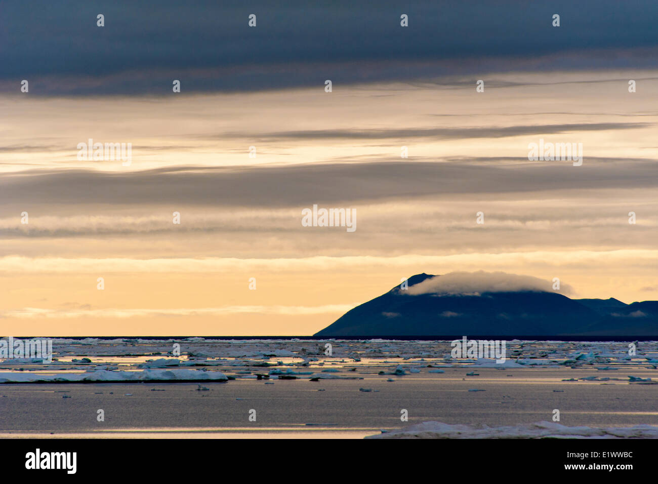 L'île Wrangel, en Russie arctique Banque D'Images