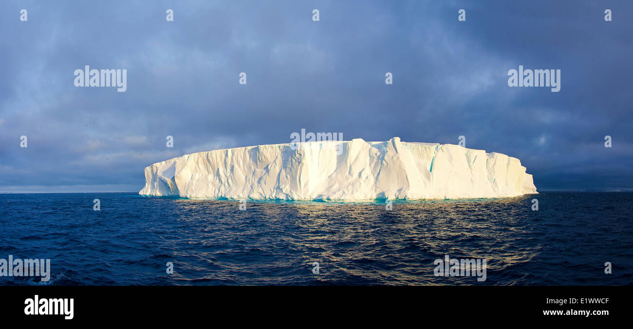 Antarctic Iceberg, Mer de Scotia, l'Antarctique Banque D'Images