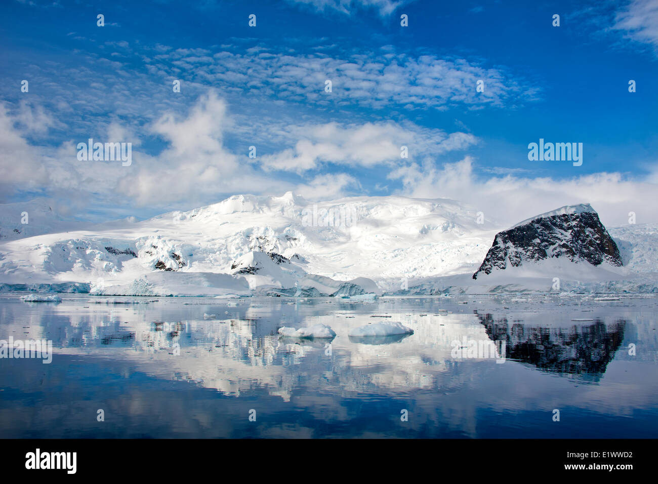 Neko Harbour, péninsule antarctique Banque D'Images