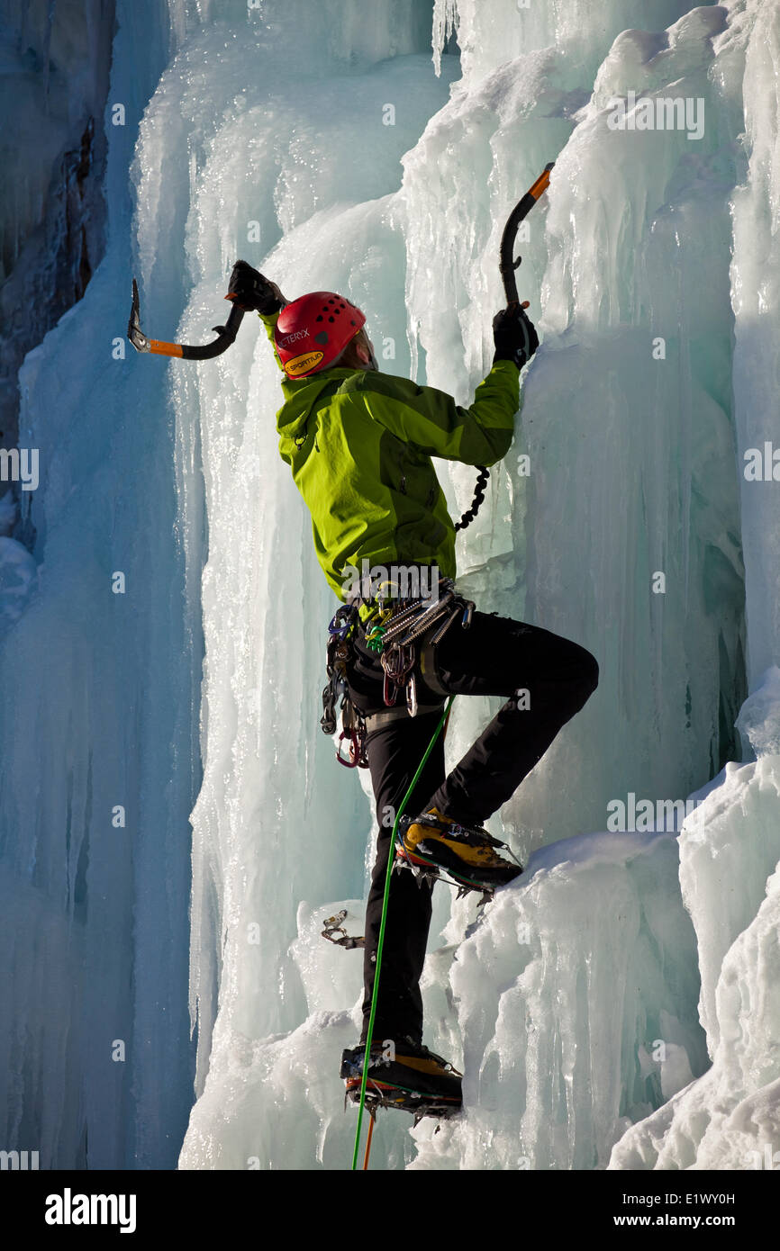 Un grimpeur sur glace travaille son chemin l'état ensoleillé de l'escalade de glace Champignons malin appelé WI5 dans la vallée de la rivière Ghost, AB Banque D'Images