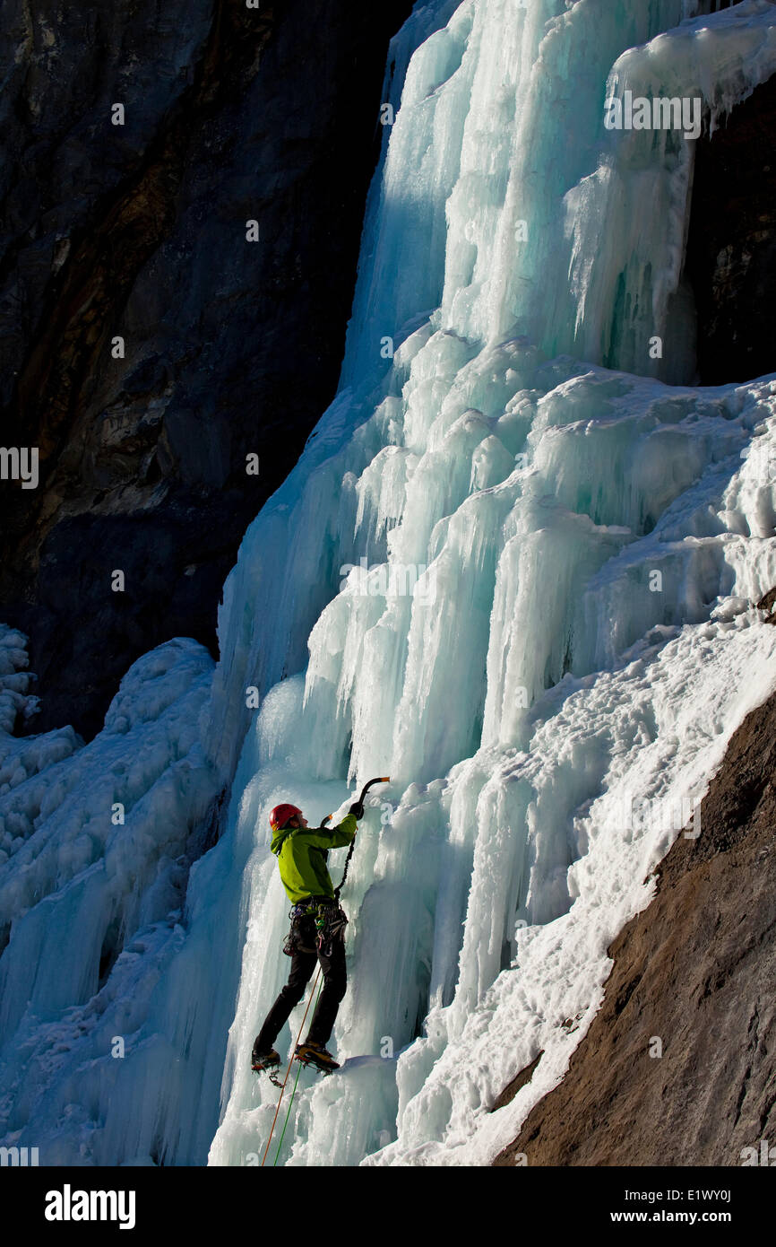 Un grimpeur sur glace travaille son chemin l'état ensoleillé de l'escalade de glace Champignons malin appelé WI5 dans la vallée de la rivière Ghost, AB Banque D'Images