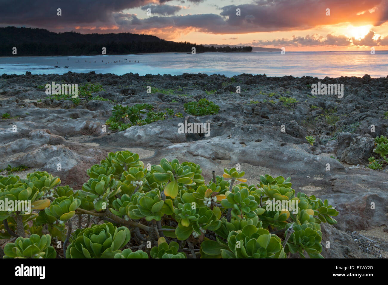 Coucher du Soleil à Turtle Bay, Oahu, Hawaii, United States of America Banque D'Images
